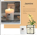 Velas aromáticas Premium